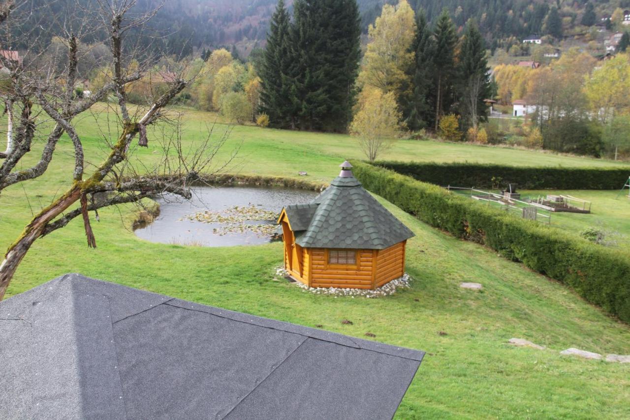Chalet Centauree - Remy Herold Xonrupt-Longemer Exterior foto
